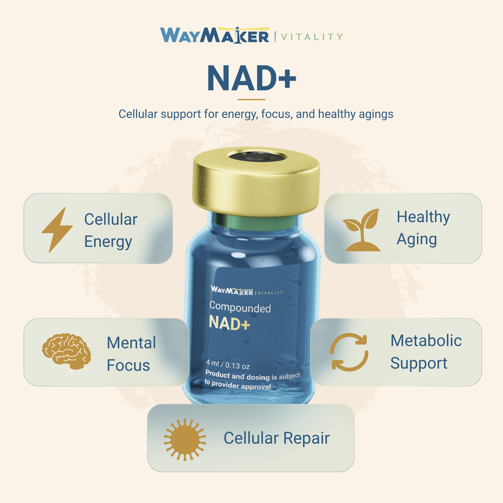 NAD+ - Image 2